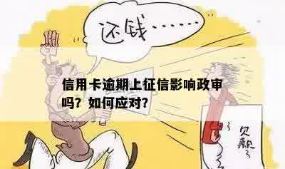 逾期与政审被拒：如何应对信用危机并提升个人资格？