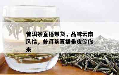 云南普洱茶直播宴：探索电商平台上的优质茶品排行榜