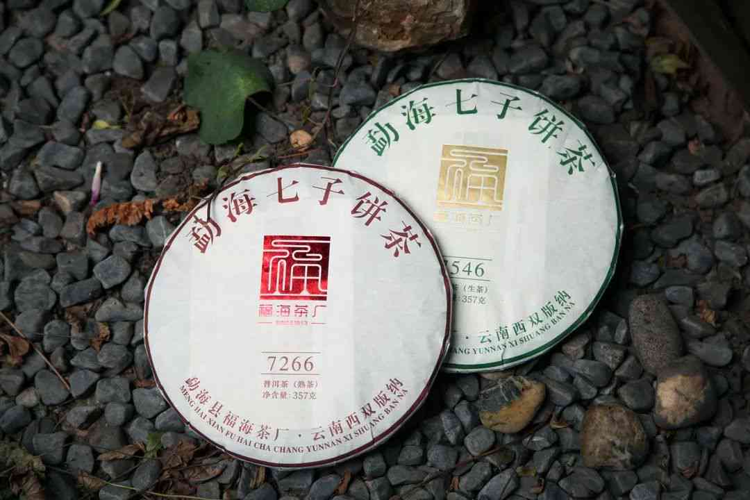 竹子普洱茶翠福春