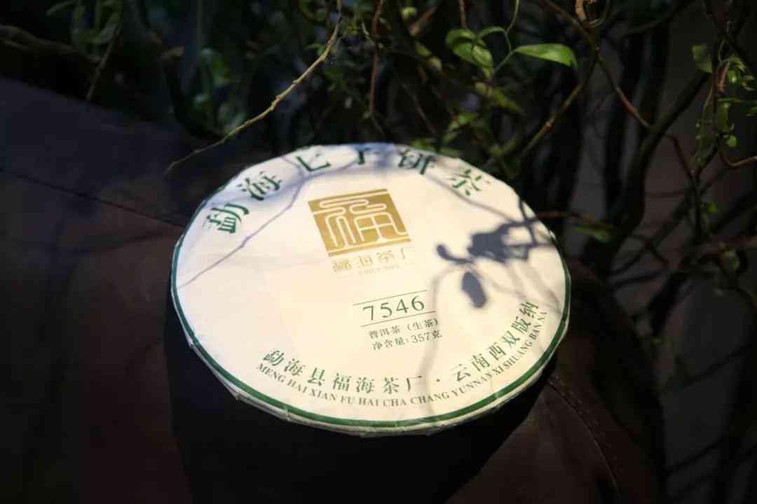 竹子普洱茶翠福春