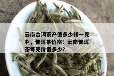 云普洱茶：一线品质，二线价格