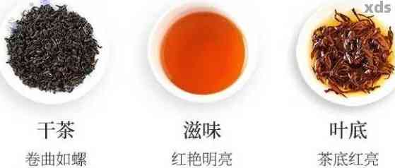 红茶和普洱茶区别