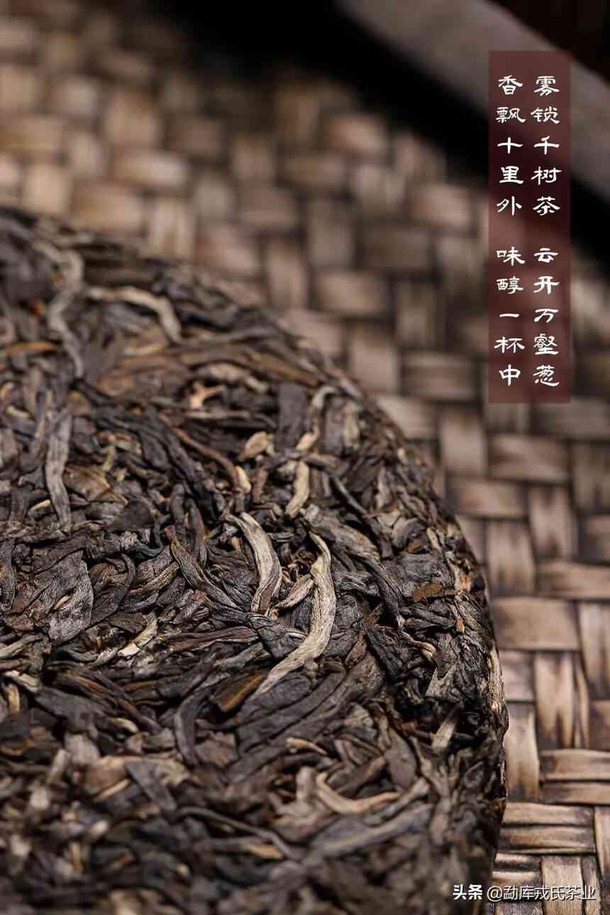 云南特色普洱茶：一款享誉世界的中国十大名茶之一