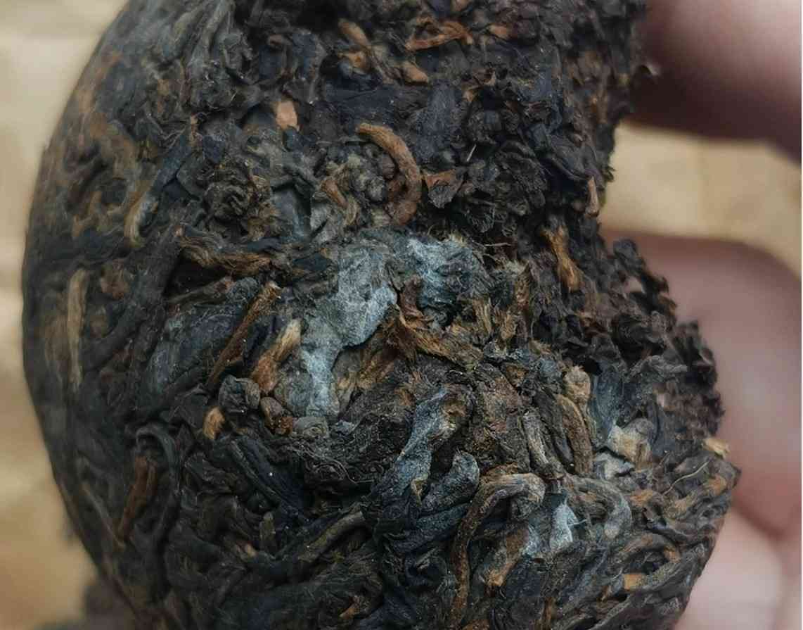 平时的普洱茶是熟茶吗