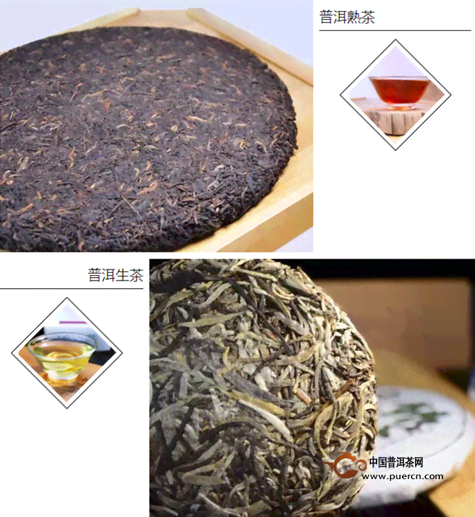 普洱茶的分类及其特点：一粒普洱茶是什么茶类型的详细介绍