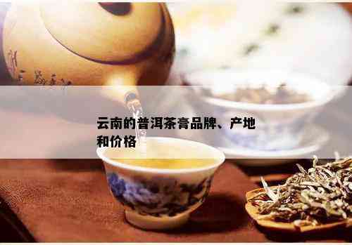 云园特色普洱茶膏产品介绍与价格分析