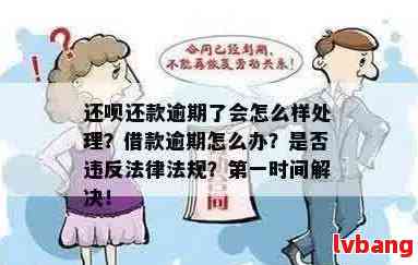 原告逾期还款承诺后反悔：后果如何？用户应如何应对？