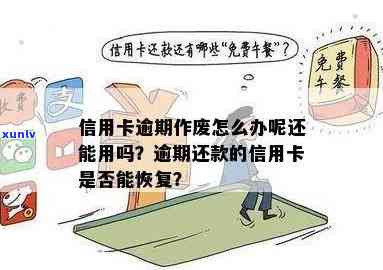 信用卡逾期被强制作废了怎么办？重新办理指南