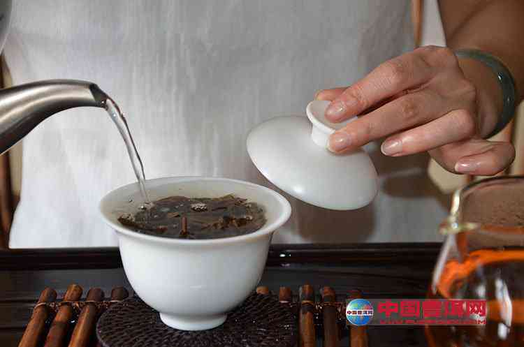 昆明茶艺师冲泡普洱茶