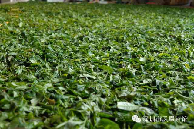 品质上乘的普洱茶毛茶推荐，六大特色让你回味无穷