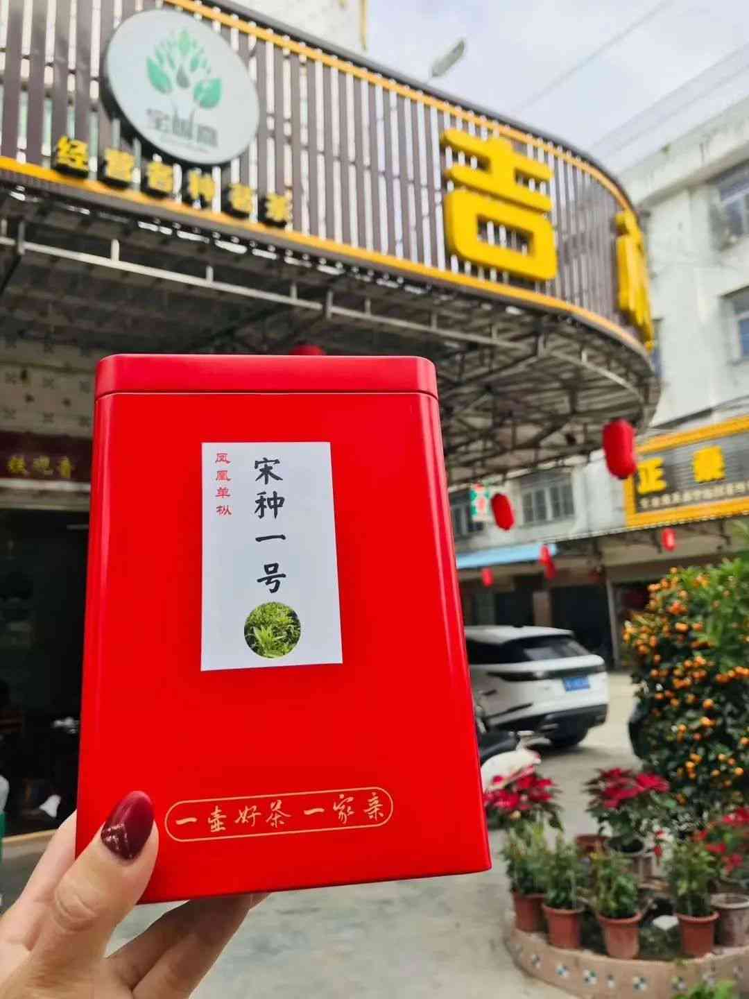 9块9茶叶包邮普洱茶广东发货