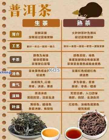 普洱茶的9大功效与作用是什么