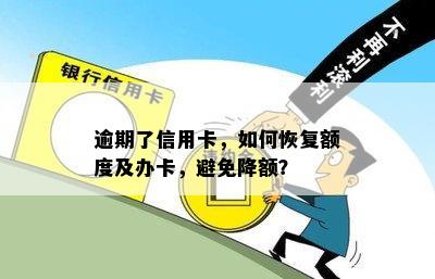 逾期半年永久额度怎么办？如何办理恢复或更新？