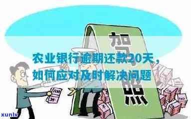 农行信用卡额度因他网贷逾期两次大幅下调，如何应对信用危机？