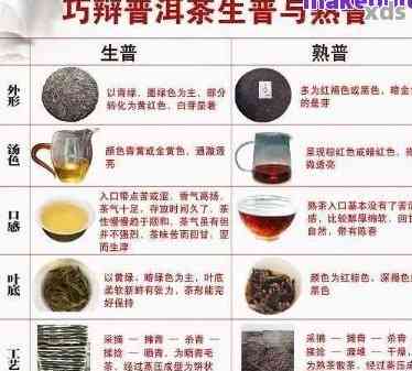 探究普洱茶的十大独特功效及其科学食用方法