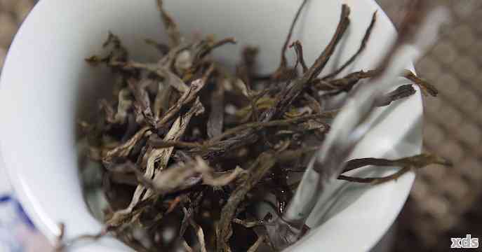 普洱茶跟古树普洱区别大吗？古树茶与普洱茶的区别是什么？