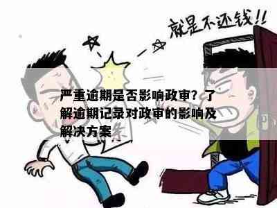 逾期政审解决方案：如何应对、影响和避免不良记录？