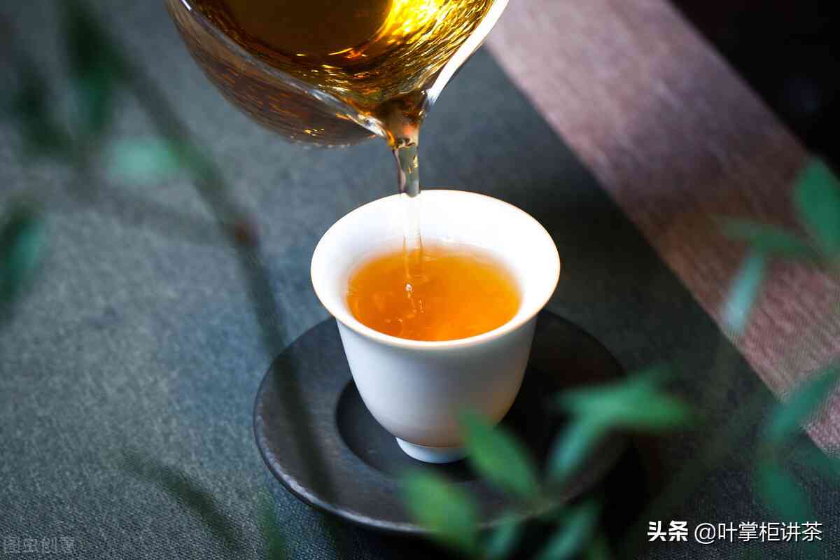 一款好普洱茶推荐哪款好喝：口感佳的普洱茶盘点