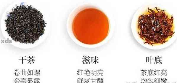 普洱茶与红茶：对比研究，寻找对胃最有益的茶饮