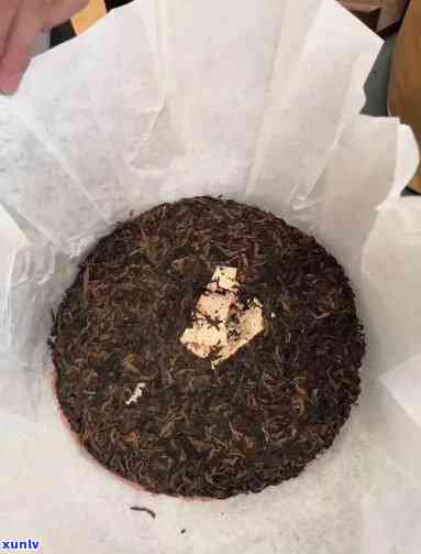 海湾茶厂99之一批茶产品详细信息及价格，了解购买渠道和口感特点