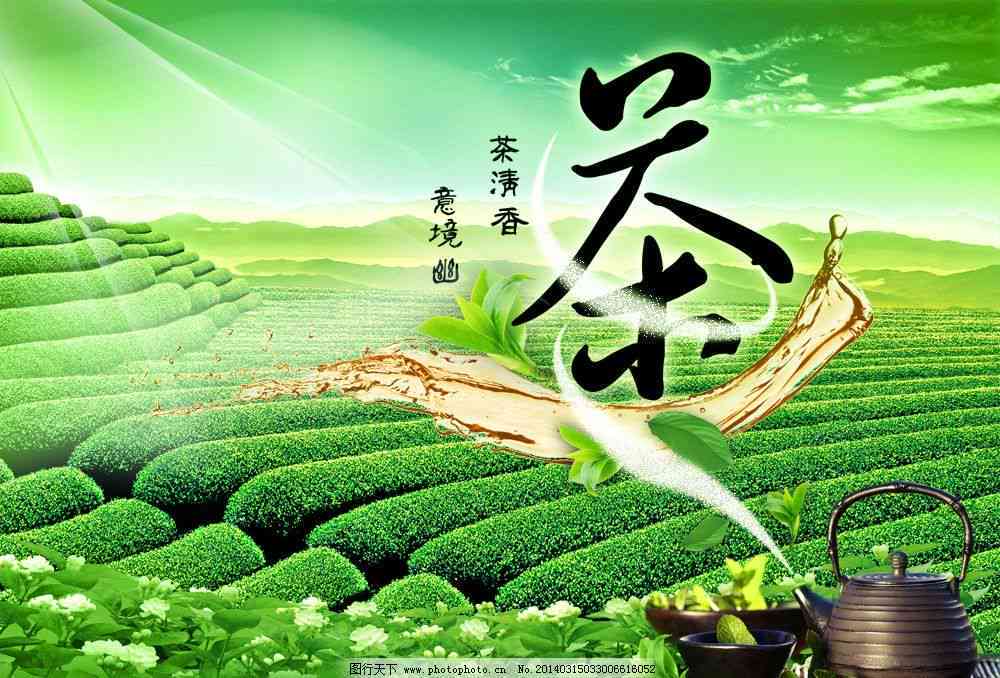 普洱茶、红茶、铁观音的功效与禁忌及区别：了解各自特点与注意事项