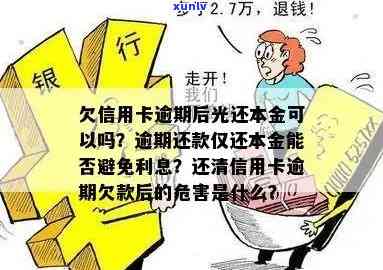 逾期金条还款方案：仅还本金是否可行？如何处理逾期金条借款？