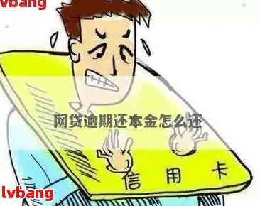 逾期金条还款方案：仅还本金是否可行？如何处理逾期金条借款？