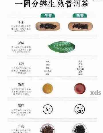 布朗山普洱茶生茶成分详解：从产地、制作工艺到营养价值全面解析