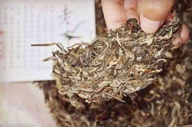 普洱茶中的白毛与白霜：两者区别解析，帮助您轻松辨别品质