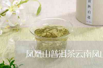 凤凰山普洱茶价格特点介绍