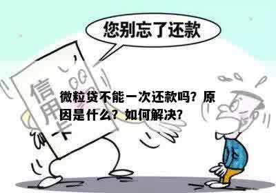 微粒贷还款问题全解析：无法还款的原因、解决方法以及影响