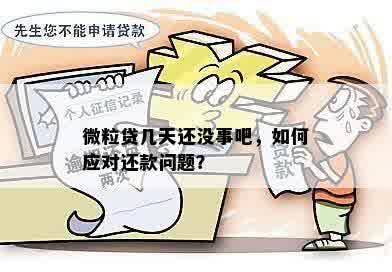 微粒贷还款问题全解析：无法还款的原因、解决方法以及影响