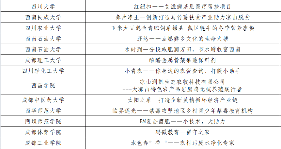 大学生挑战杯申报书范例：创新型乡村振兴方案设计