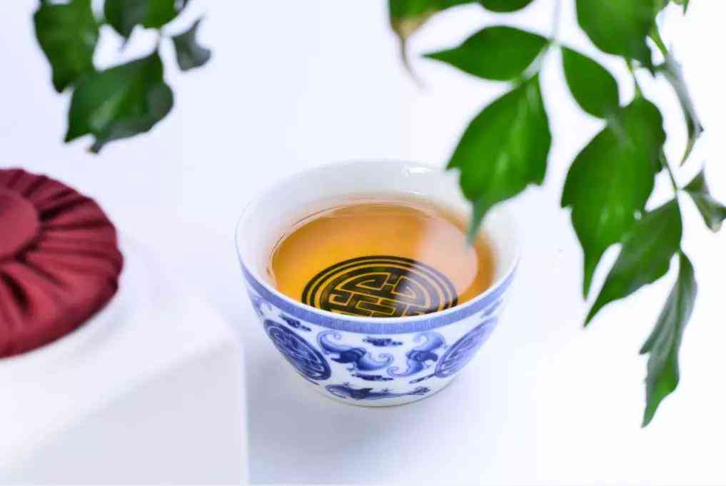 探索普洱茶的世界：生茶与熟茶的风味差异及品饮技巧