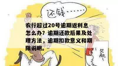 农行贷款逾期复利的影响及其解决方法：了解您可能面临的后果和应对策略