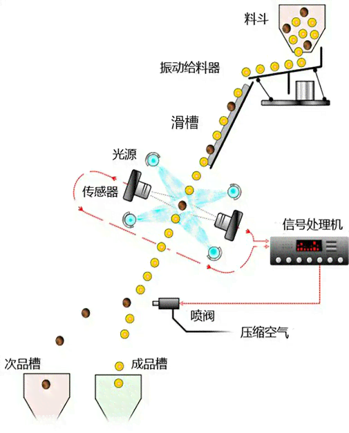 茶叶色选机的工作原理及其全面应用：从原理到实际操作的详细解析