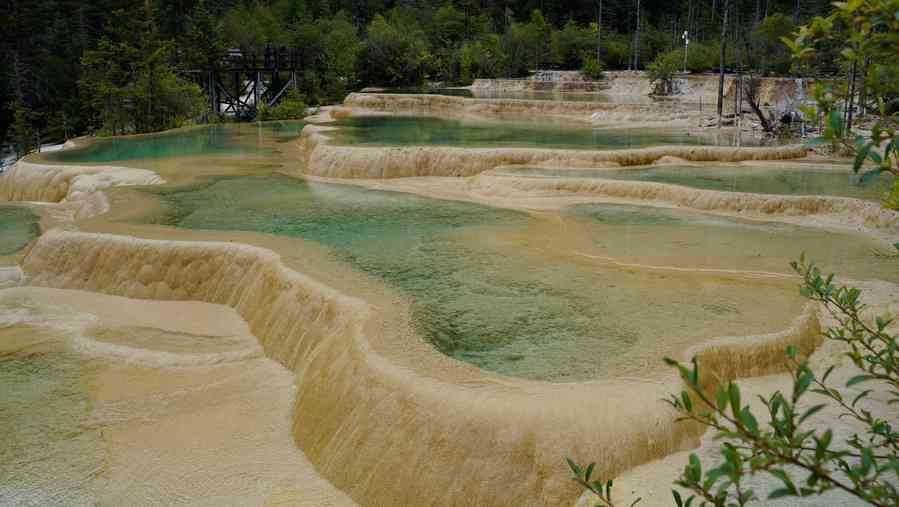 九寨沟旅游中，哪些玉石商品值得购买？如何鉴别真伪？购物攻略全面解析