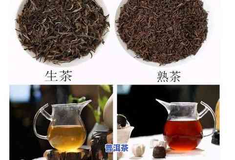 普洱茶：生茶与熟茶的全方位解析，了解二者区别及适用场景