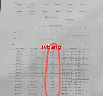 了解网商贷还款记录：如何查看、分析和优化个人财务状况