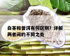 普洱茶与白茶：对比分析及两者之间的异同