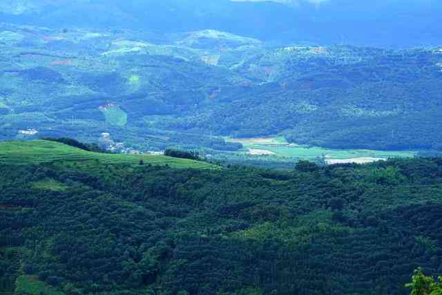 大黑山生态普洱茶澜沧玉源茶厂