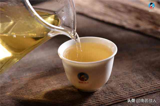 铁观音茶的分类：普洱茶还是绿茶？解析两种茶的特点与区别