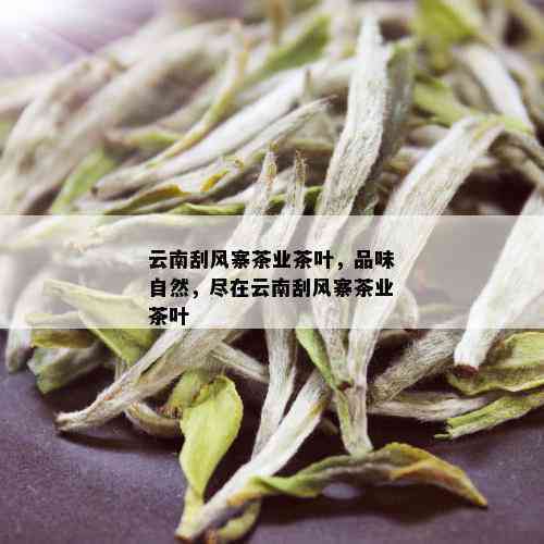 云南刮风寨茶业：传承普洱茶叶文化，打造昆明西山区品质企业