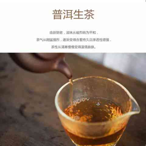 刮风寨茶厂出猫耳朵茶正常吗？