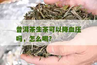 普洱茶：一种新的降血压天然疗法？生茶对高血压患者的益处与挑战