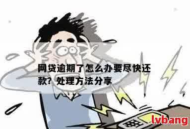 网贷逾期代偿后怎么还款：处理方式与步骤