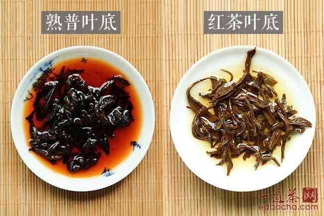 红茶与普洱茶的对比：哪一款更能暖你的胃？