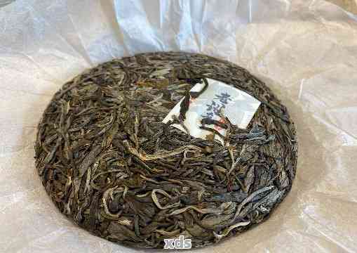 普洱茶：选择饼茶还是散茶？哪种更适合你？