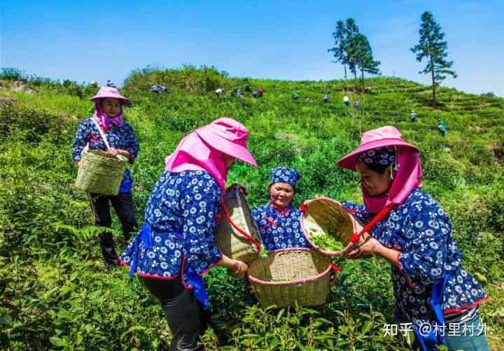 健生活：偶尔品尝浓茶香是否影响身体？医生的建议在这里