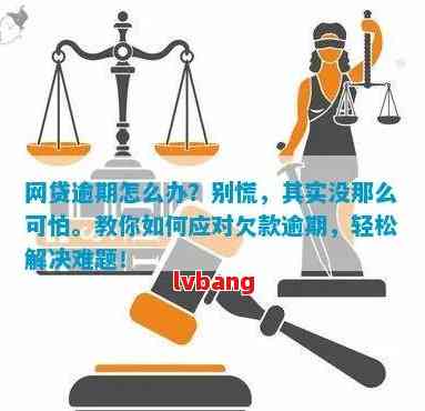 面对朋友的网贷逾期难题，我们应如何应对？——逾期处理与解决方案全解析